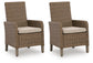 Laguna Heights Arm Chair With Cushion (2/CN)